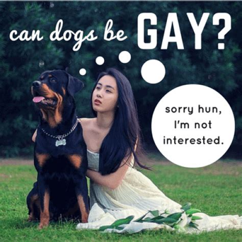 gay dog sex|Gay male dog sex gay male dog .